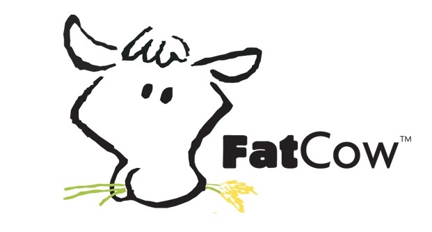 بهترین میزبان برای کسب و کار کوچک 5 fatcow reviews logo